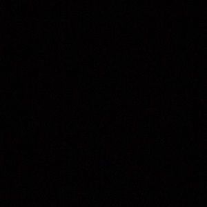 Meet your Posher, Troy